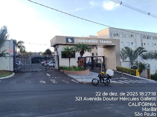 Apartamento - Venda, MARILIA, SP